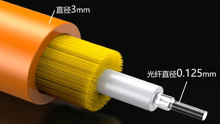 光纖解剖示意圖