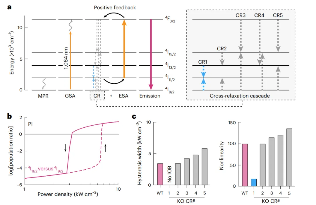 雪崩納米粒子ANPs中的本征光學(xué)雙穩(wěn)態(tài)IOB模型。