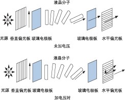 液晶 VOA 加電前后分子排列對比，展示偏振調(diào)控原理