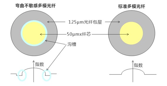 彎曲不敏感光纖與標(biāo)準(zhǔn)光纖結(jié)構(gòu)對(duì)比圖-廣西科毅光通信