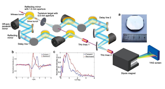 太赫茲光開關(guān)非侵入式醫(yī)療檢測示意圖