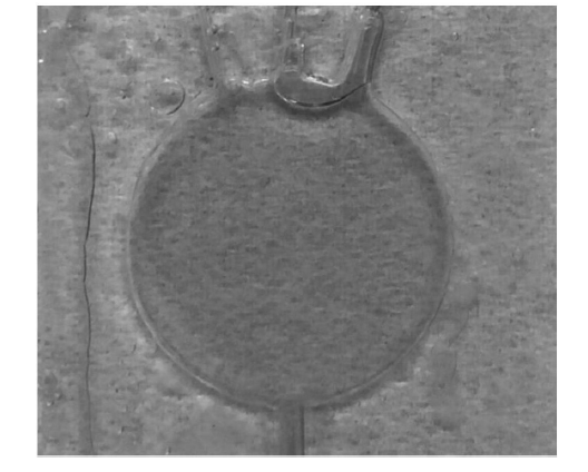 微流控光開(kāi)關(guān)在實(shí)際應(yīng)用中的效果，包括不同流速下的遮光形態(tài)及透光/遮光對(duì)比  - 廣西科毅光通信